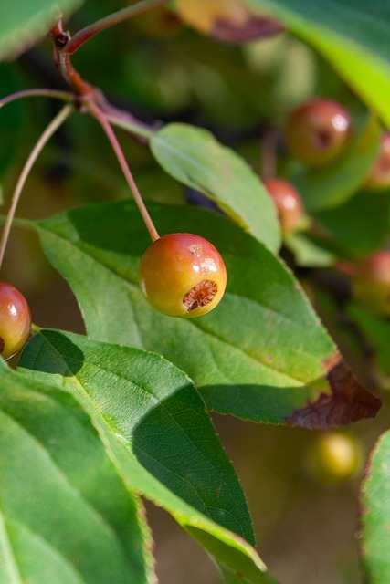 绝佳时机 绝佳时机
