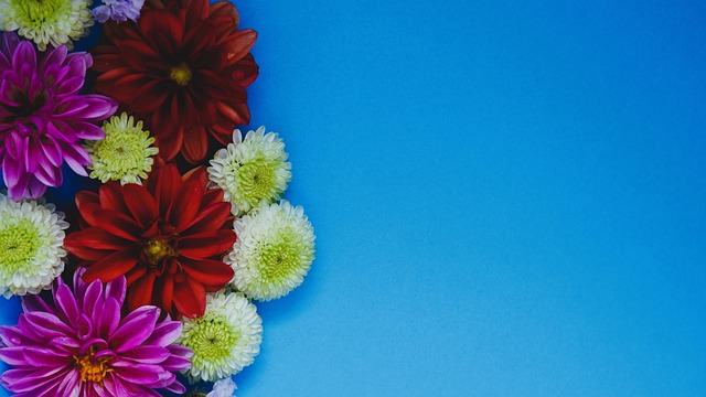 的现实解读 的现实解读