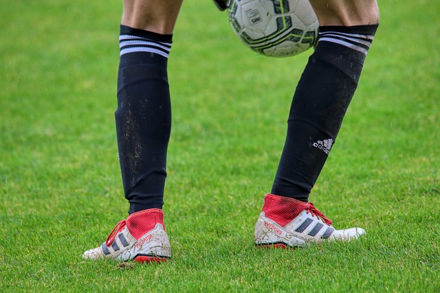 高度滿意 高度滿意