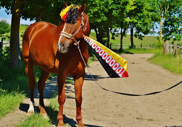 的公正性 的公正性