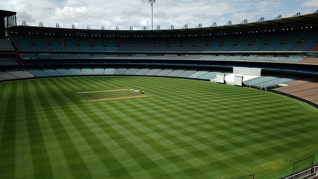 虽然伤缺一 虽然伤缺一