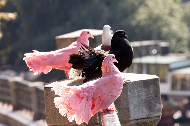 灵活性和对 灵活性和对