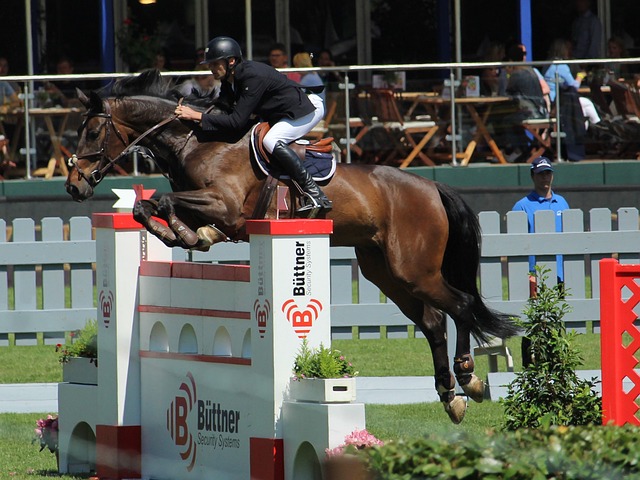 他已經準備 他已經準備