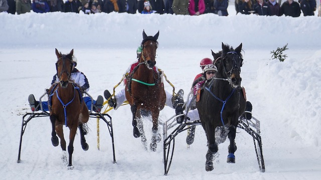 尤其是在半 尤其是在半
